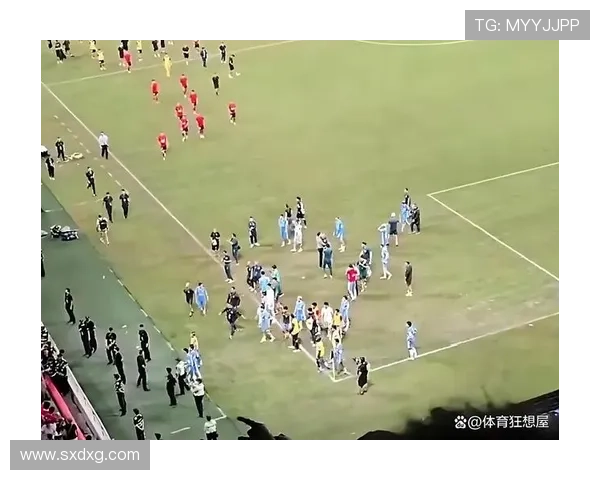 足协杯两球员暴力被停赛三场 足协杯两球员暴力被停赛三场